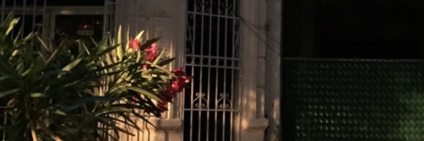 AlisonSosa's profile banner image