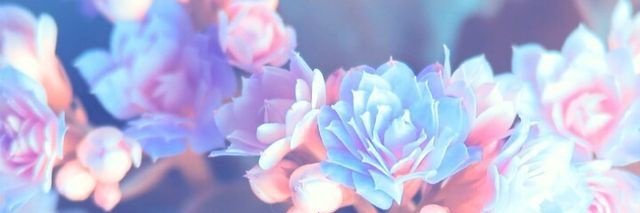 SammyBebb's profile banner image