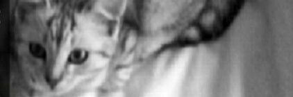 arts_cheren's profile banner image