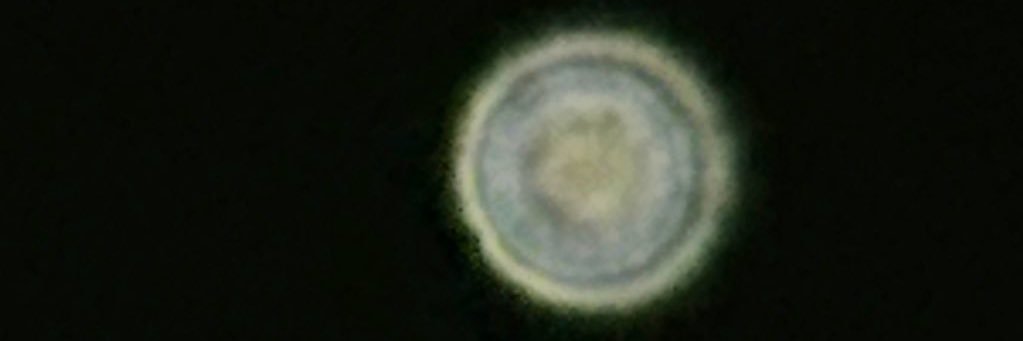 Cynicalbaee's profile banner image