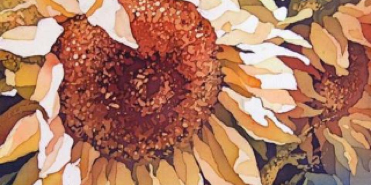BiberSevilay's profile banner image