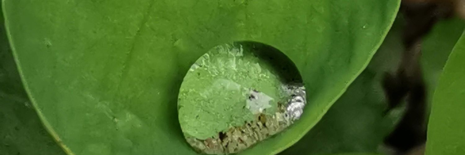 🤫🇫🇷🇫🇷🇫🇷😚🐷 banner