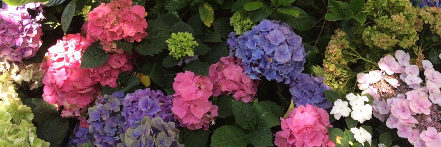 barrym123's profile banner image