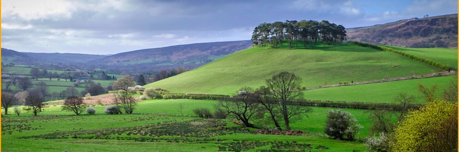 ourrosedale's profile banner image