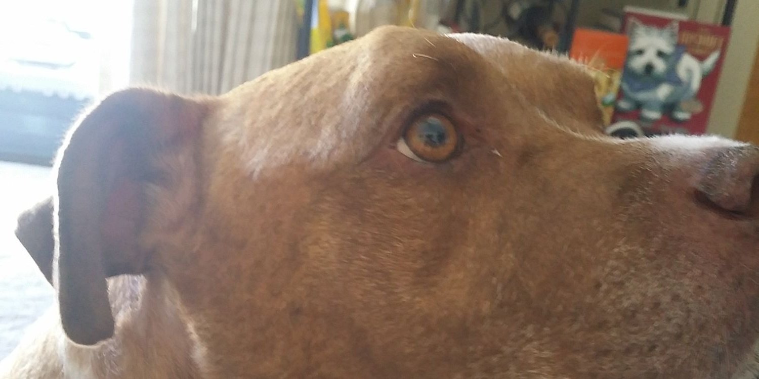 riley7779's profile banner image