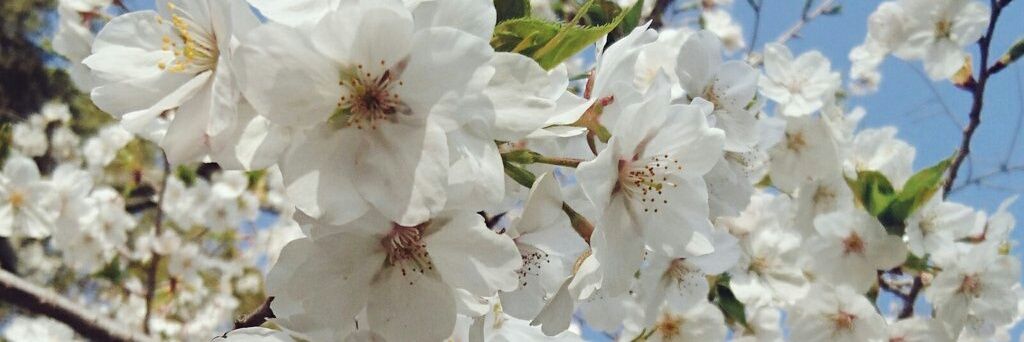 NK09928135's profile banner image