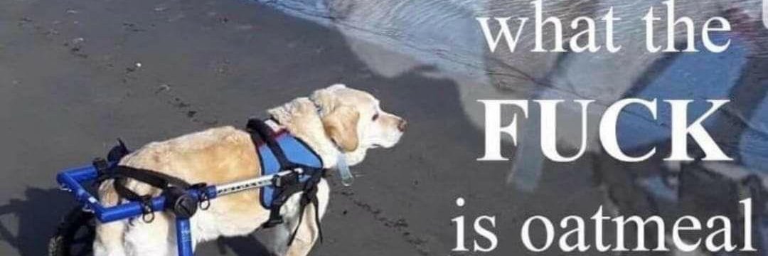 KickselWasTaken's profile banner image