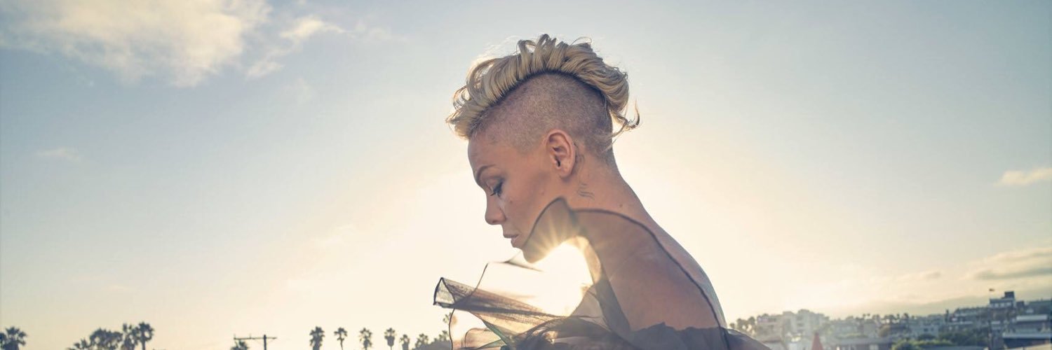 NinxPinkness's profile banner image