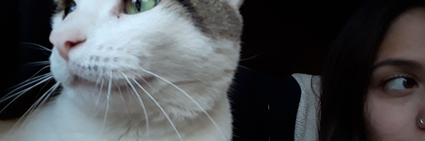 naanimelo08's profile banner image