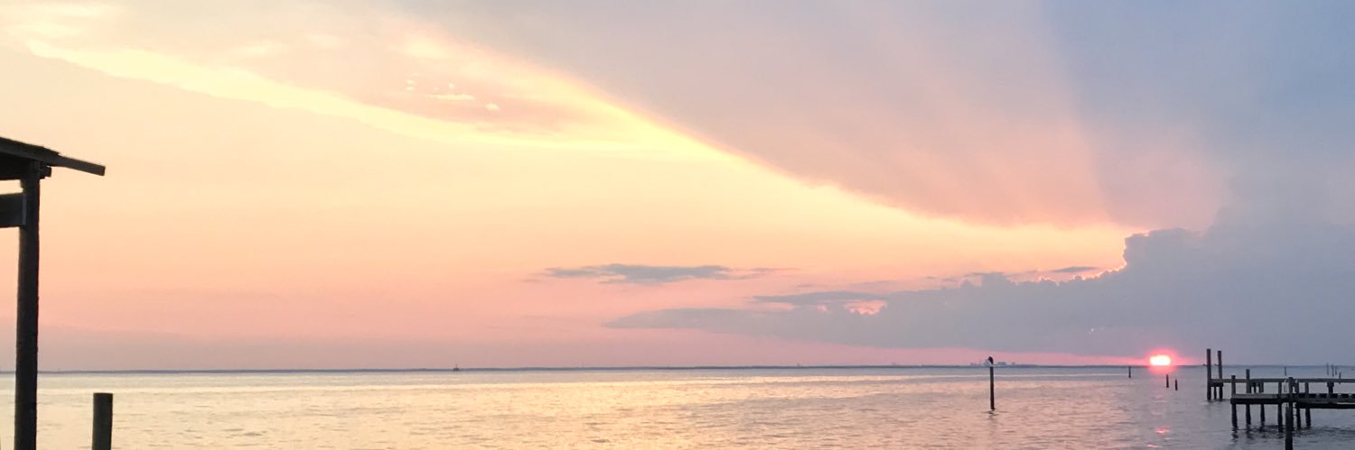 waldanator's profile banner image