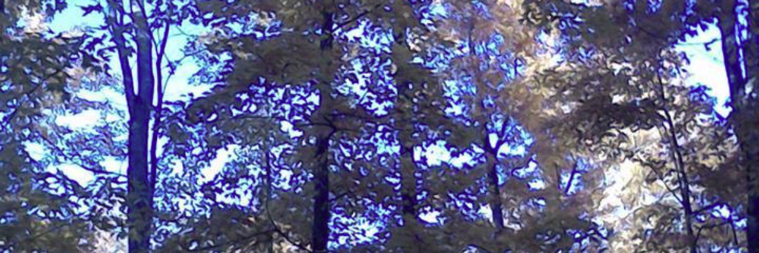 StaceyTh1's profile banner image