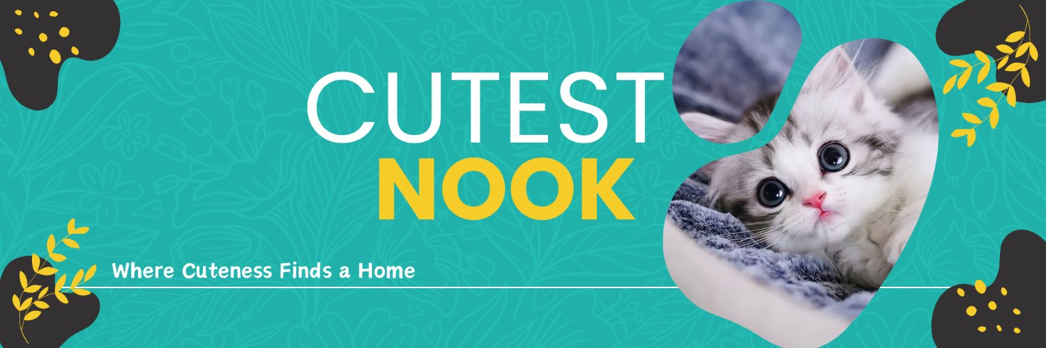 cutestnook's profile banner image