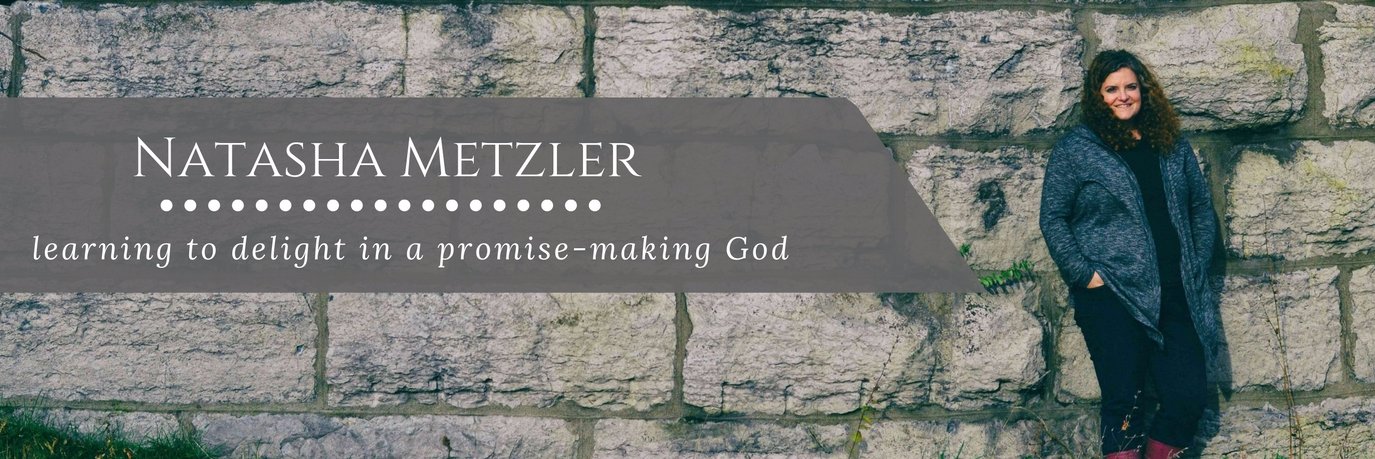 natashametzler's profile banner image