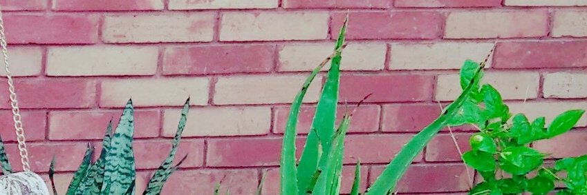 Old Ravian banner