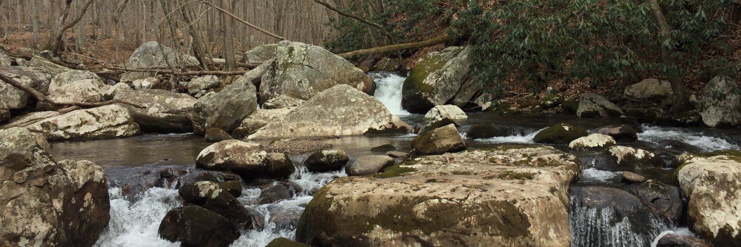 Stephen Plont banner