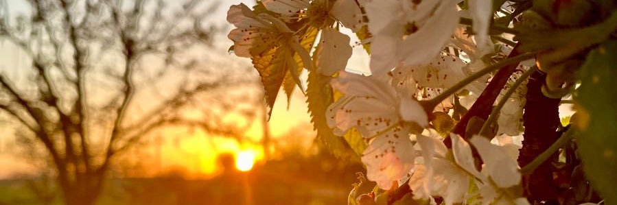 타냐 🇺🇦 banner