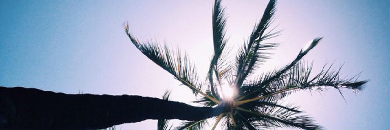 Melissa Carter banner