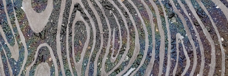kelseyjporter's profile banner image