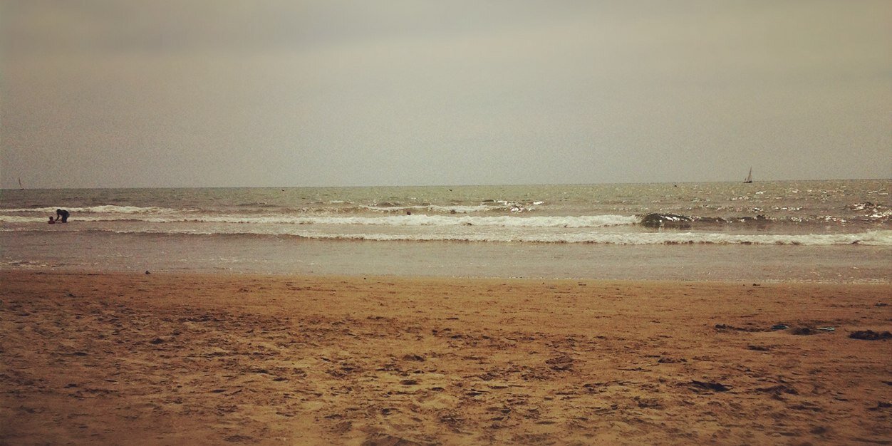 Diandra Bulleri banner