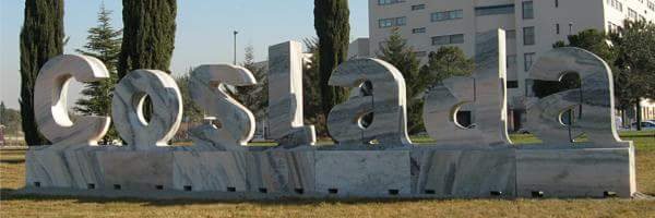 natalia_setien's profile banner image