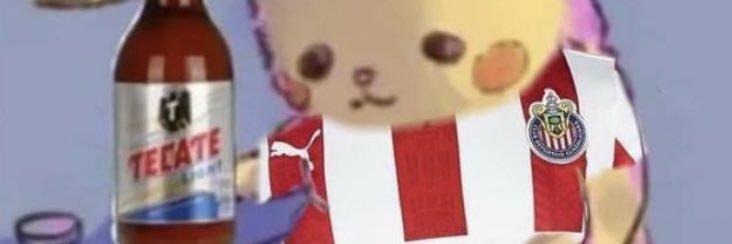 Mister Don Pika banner
