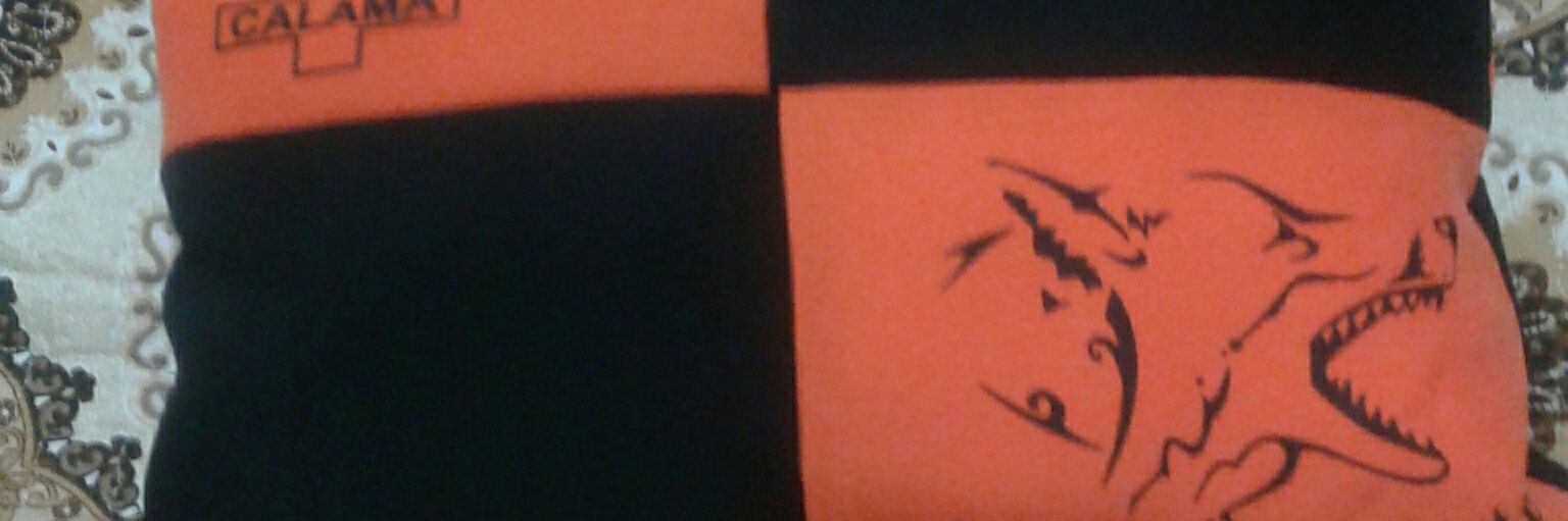 KarlozNF's profile banner image