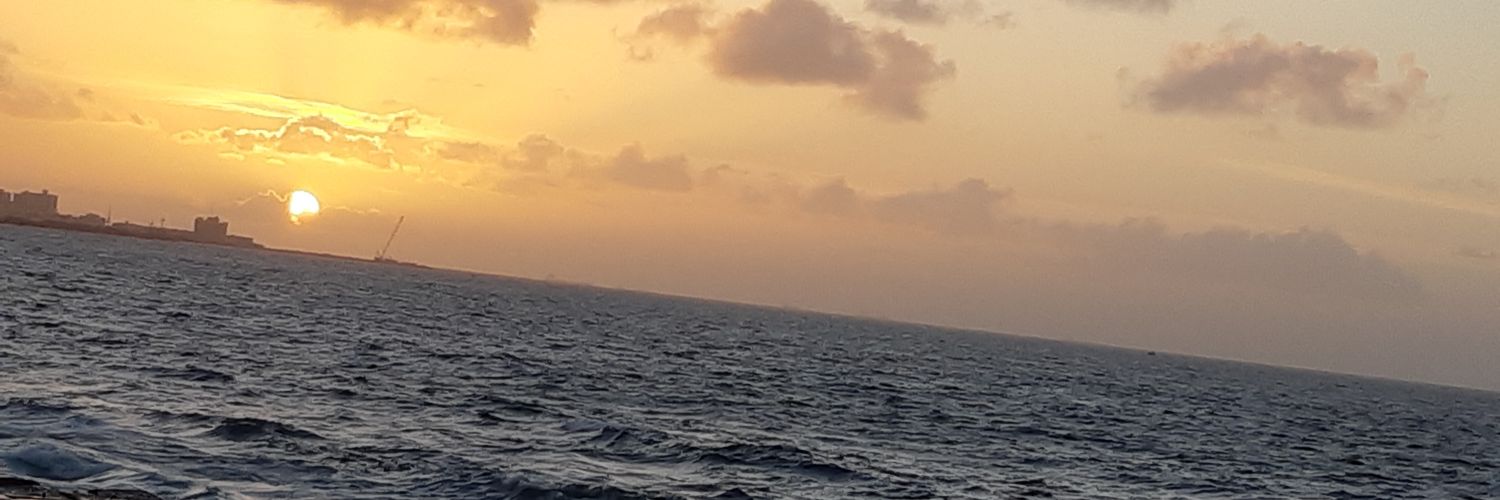 reham0mohamed's profile banner image