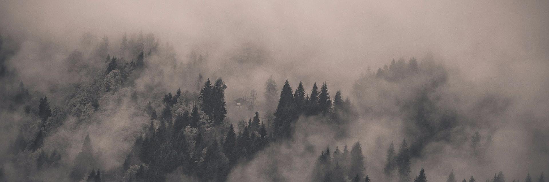 iZeq_'s profile banner image