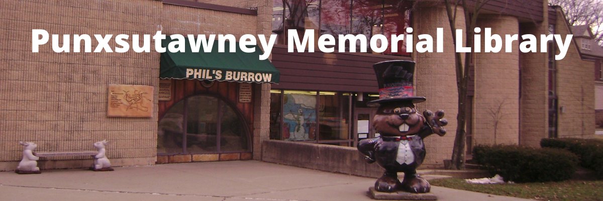 PunxsyLibrary's profile banner image