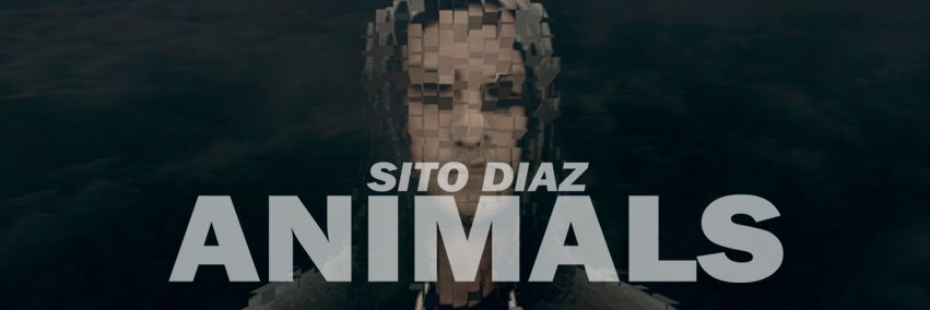 sitodiazdj's profile banner image