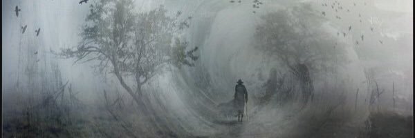 zerdestjir's profile banner image