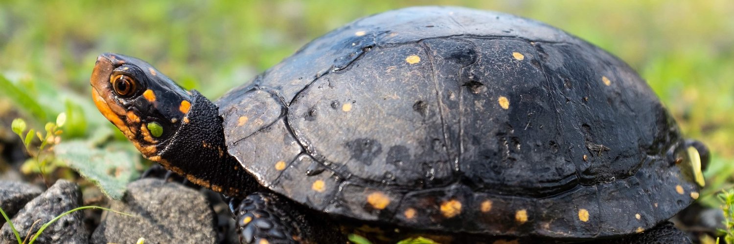 Peter Hyungjun Yoon banner