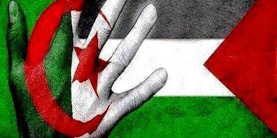 Balti370 El Loco🇵🇸 banner