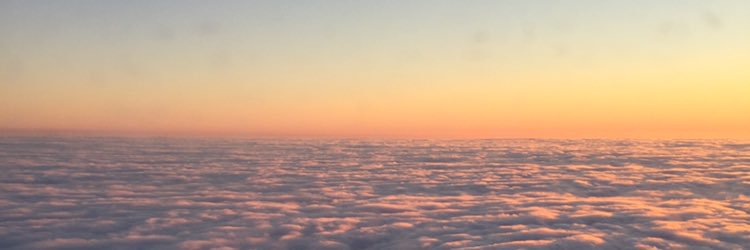 sydneykumar8's profile banner image