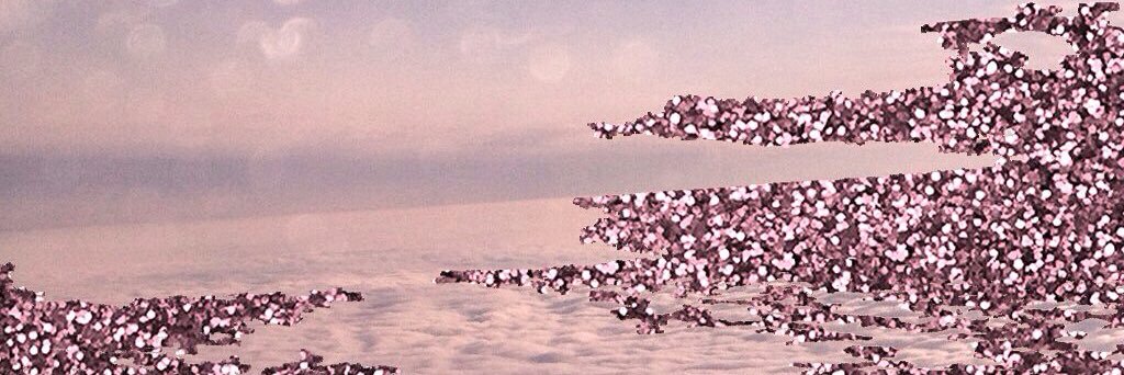 juliastradiotto's profile banner image