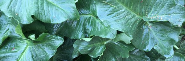 JPBarda Profile Banner