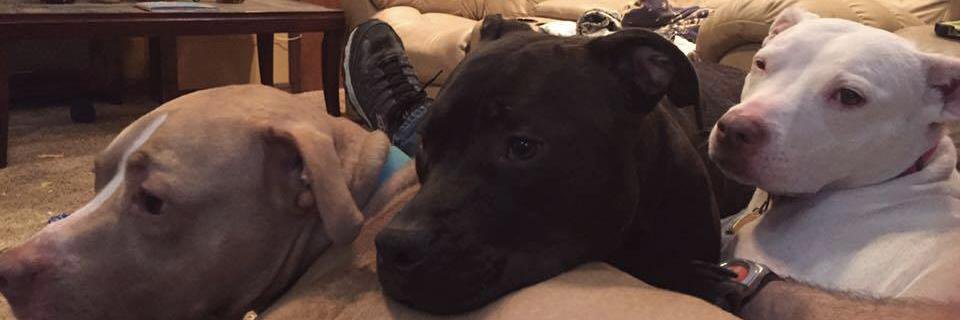 ❤️Miss Trendy❤️ banner