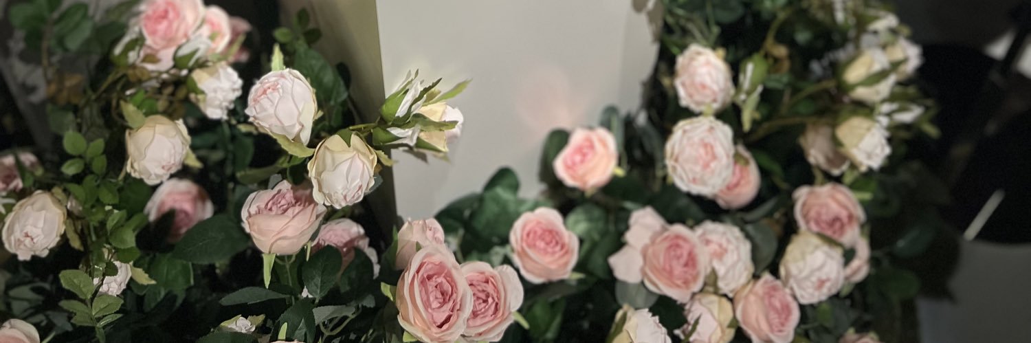 🎀 banner