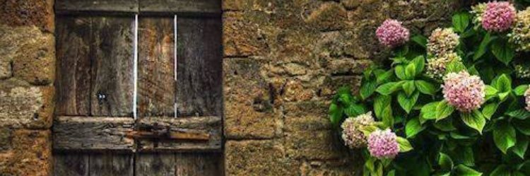 hlmyucell's profile banner image