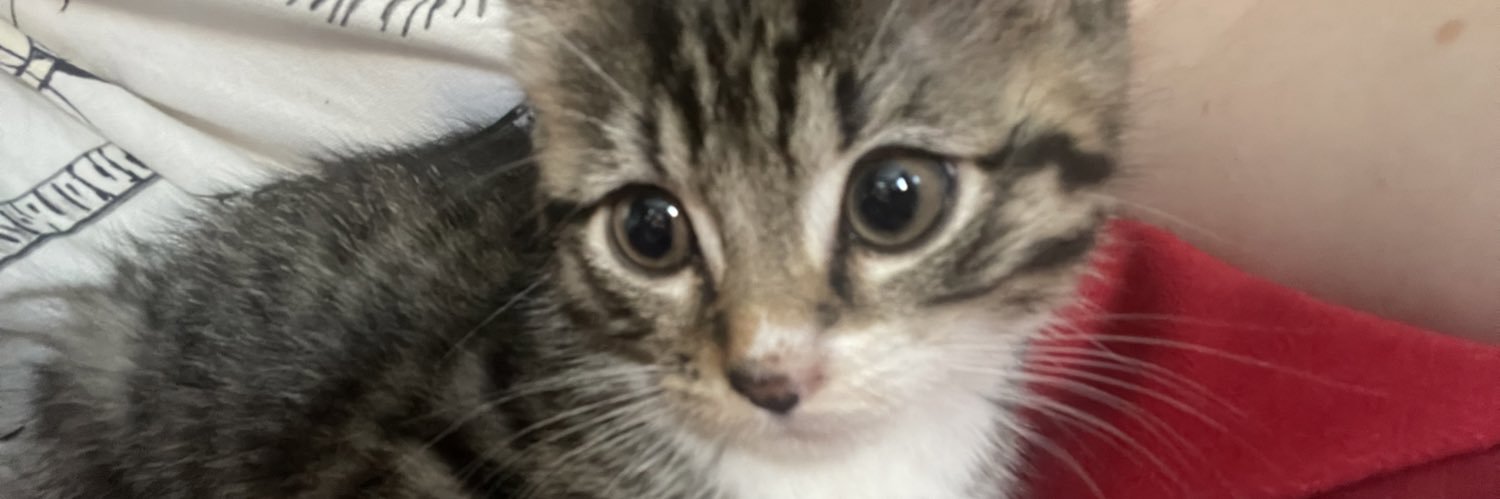 ezzamaymc's profile banner image