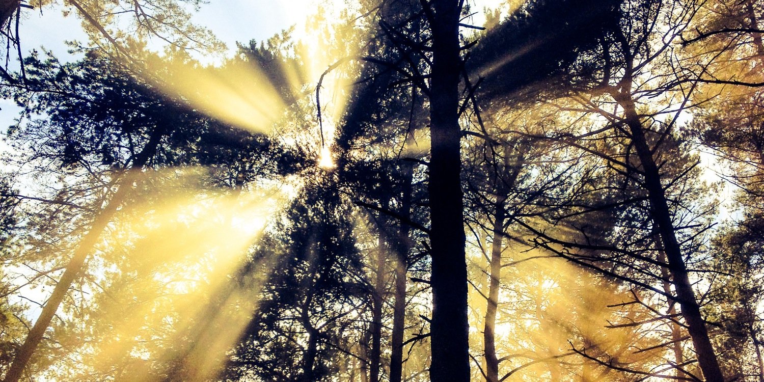 CharlieTrenholm's profile banner image