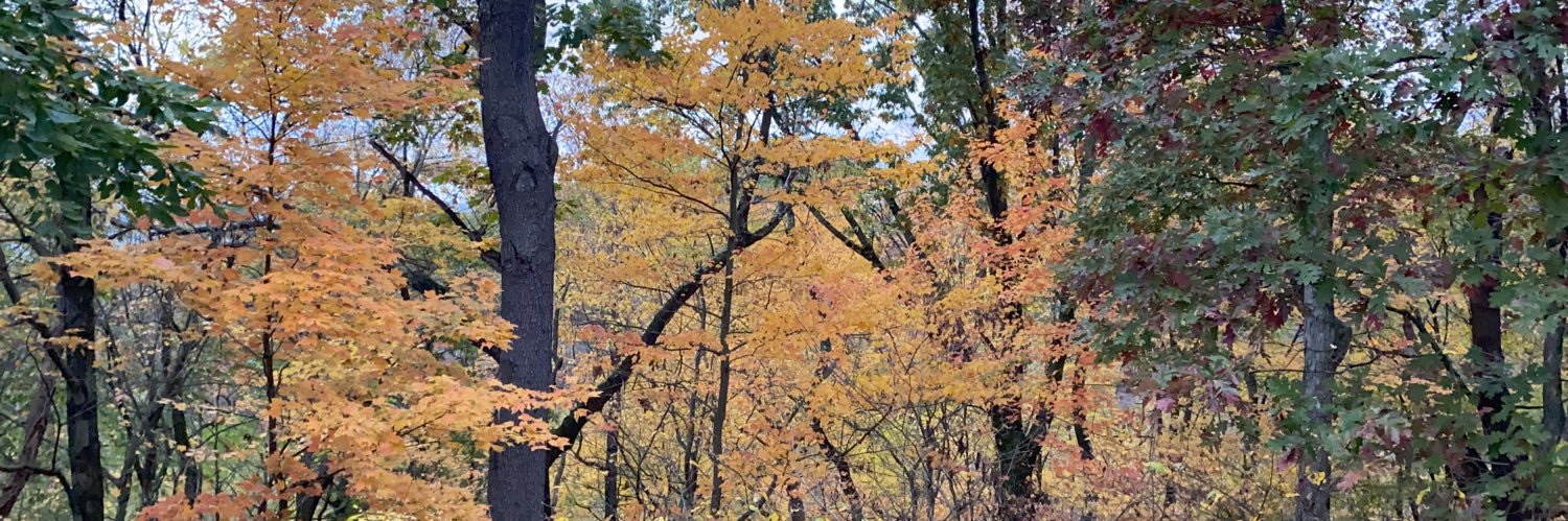 skasm71's profile banner image
