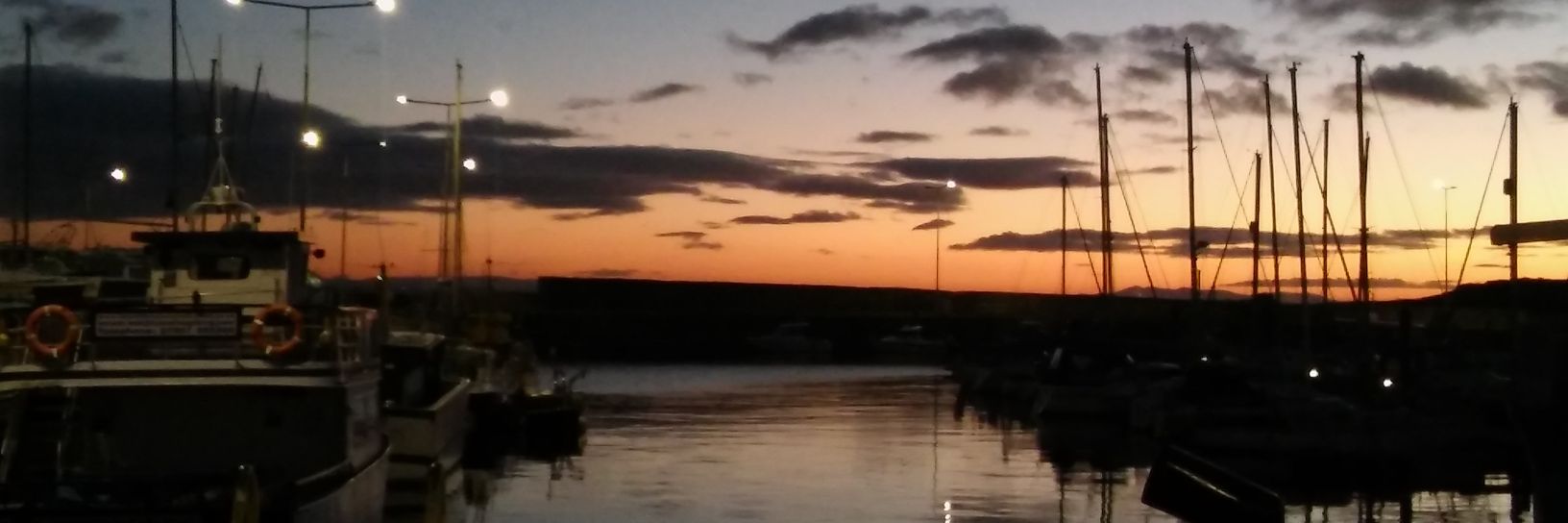 ScottishEleanor's profile banner image