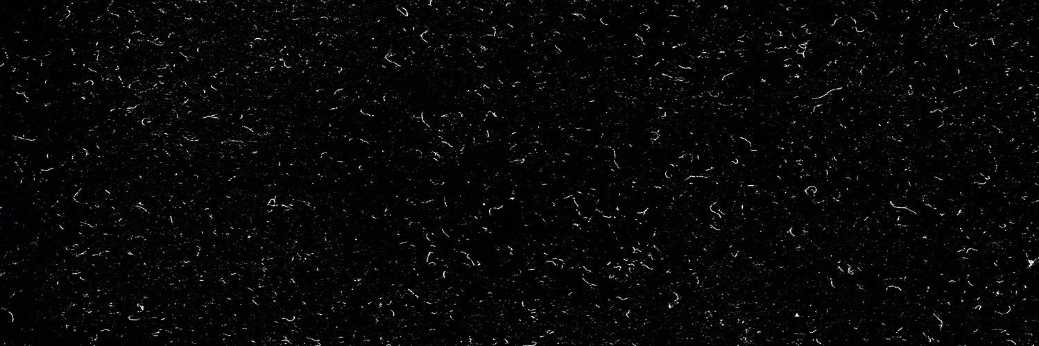 V____RM's profile banner image