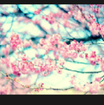MeganCoyle4's profile banner image