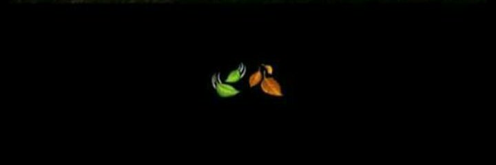 Pa_ulaaa's profile banner image