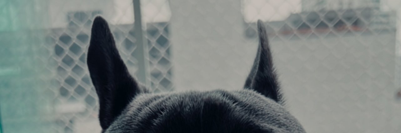Ceskaaa's profile banner image