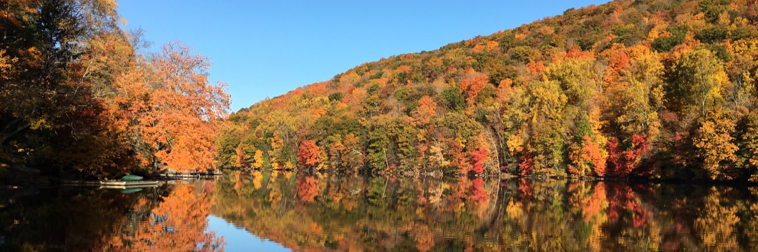 allison_towle's profile banner image