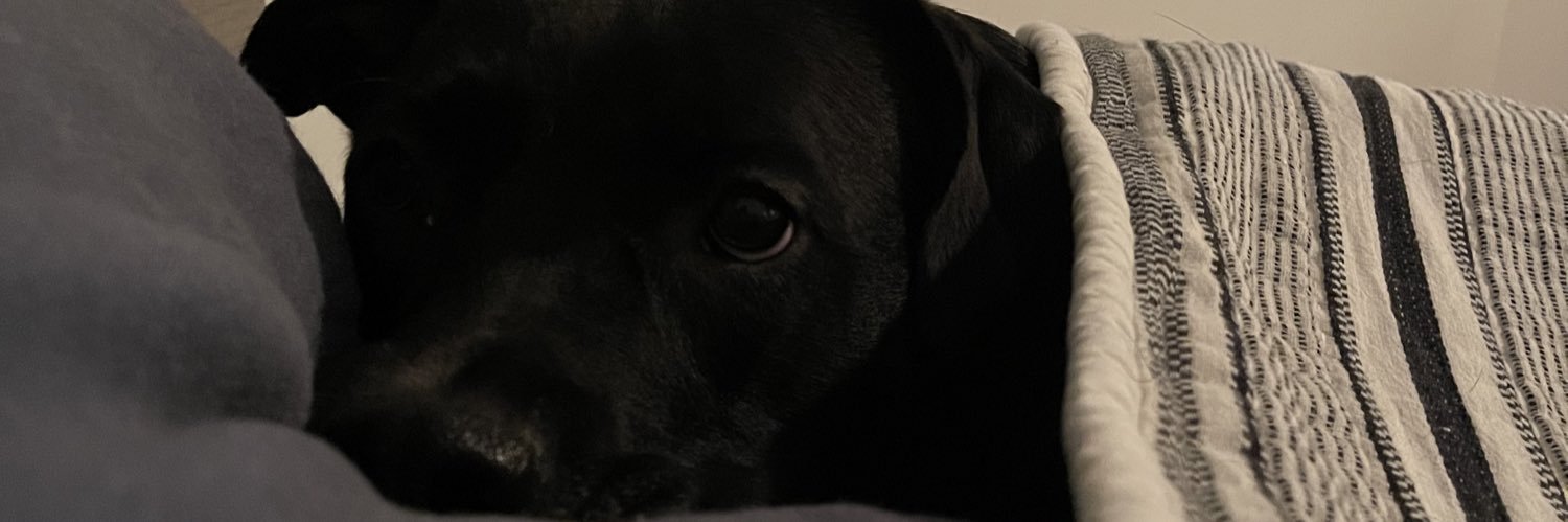 madisonmopesss's profile banner image