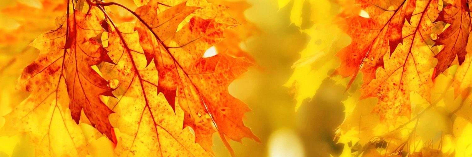 wonderingmanoj's profile banner image